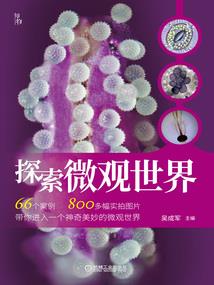 我的机器人老公
