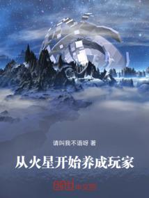 轮回碎片