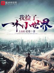 异世无上降龙