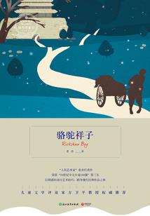 海贼世界的符文之地大船团