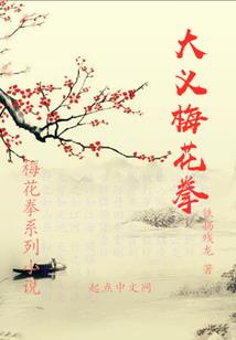 绝世神医九小姐