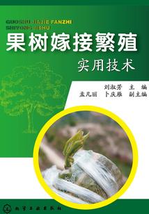 微弈