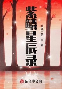 权倾大宋