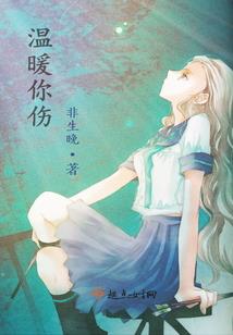 枪王夜无痕