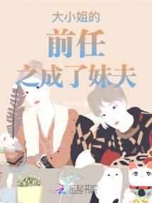 精灵训练家从不讲武德开始