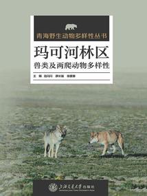 绝世情歌