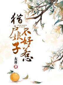 访道修仙路