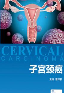 我爱上了妈妈的闺蜜