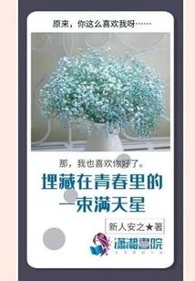 铁马金甲之觉醒