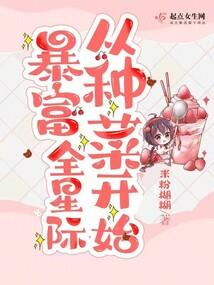 奇迹MU之神骑士养成