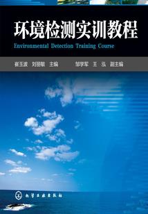 新年里的玫瑰