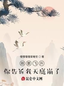 再见了男孩