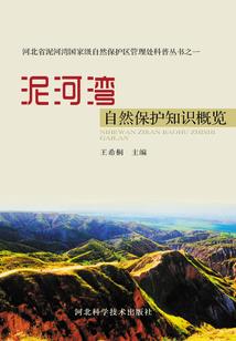 我的荒岛奇异生活