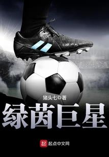兄弟双子传说