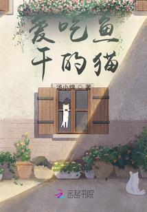 人未入睡夜不眠