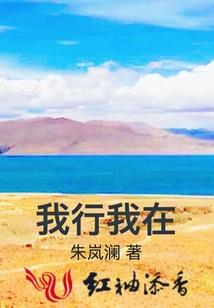 男神的坎坷情路