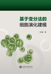 娇妃闯天涯