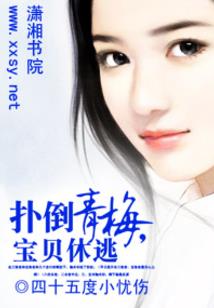 中间人日记