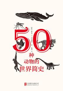 妖尾之征战魔法世界