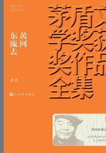匆匆的青春