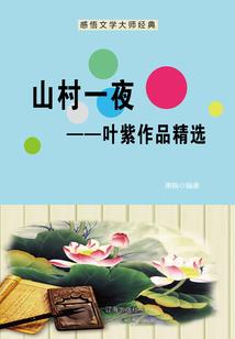 神奇宝贝之阿酷传奇