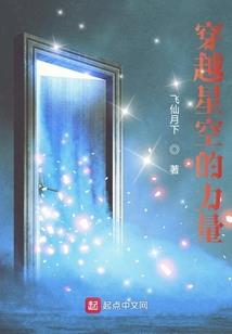 穿越凹凸世界之暗夜辉光