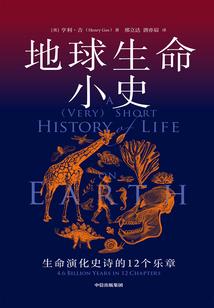 我在基金会的那些年