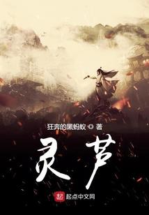 天才武师