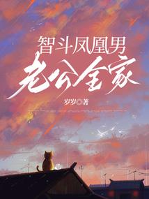 崩坏无极限