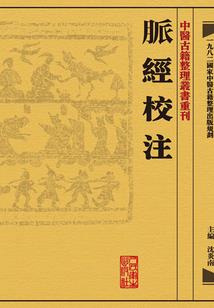 奈芙兰德战记