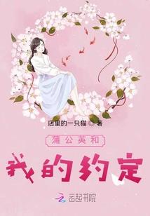 觅光而行