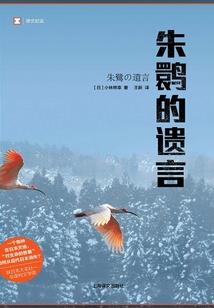穿越之君若琉璃亦如枫