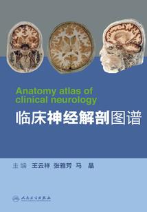 有钱就是爽