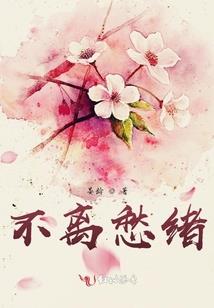 绝世惊华