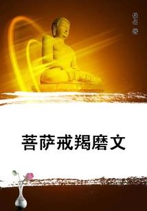 网游之无敌鸟人
