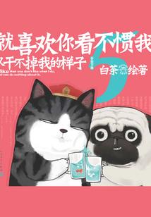 奇入西游