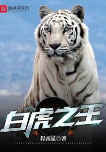 光阴倒映