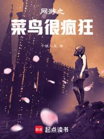 九天之传说