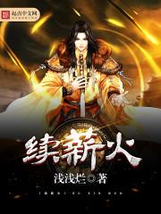 飞星传说