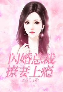 雪龙卫之蝶舞九天
