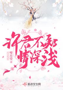 焚世传说