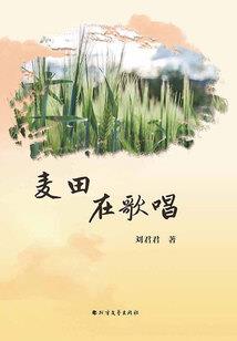花间梦时