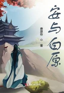 宠物小精灵之大时代