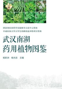 我，只是个医生