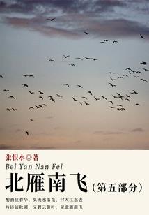 道衍宝录
