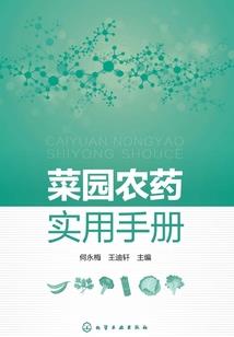 湮幻圣域