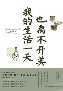 17岁的一生