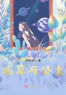 时光情长