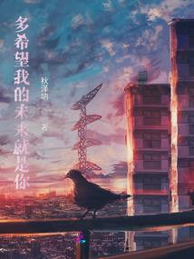 天山武林大会