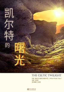 全职法师之落日传说
